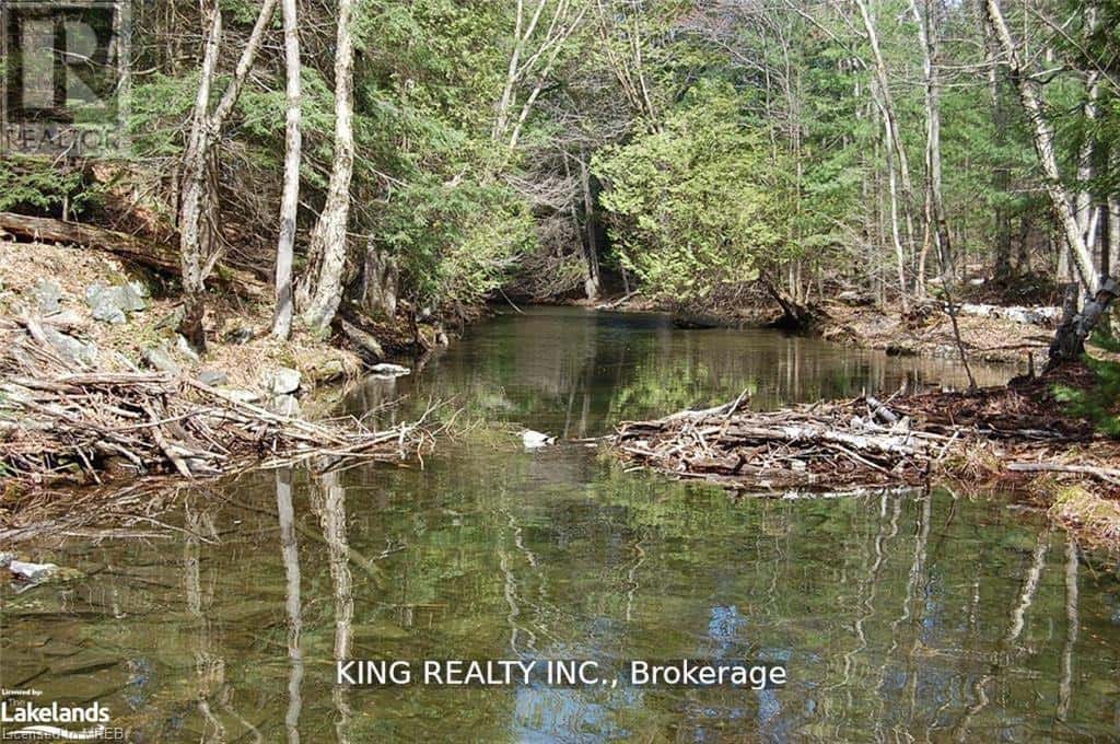 (LOT13) - 12 ZHAAWASHKWAA MIIKAN ROAD — Seguin, Ontario - Photo 3 of 12