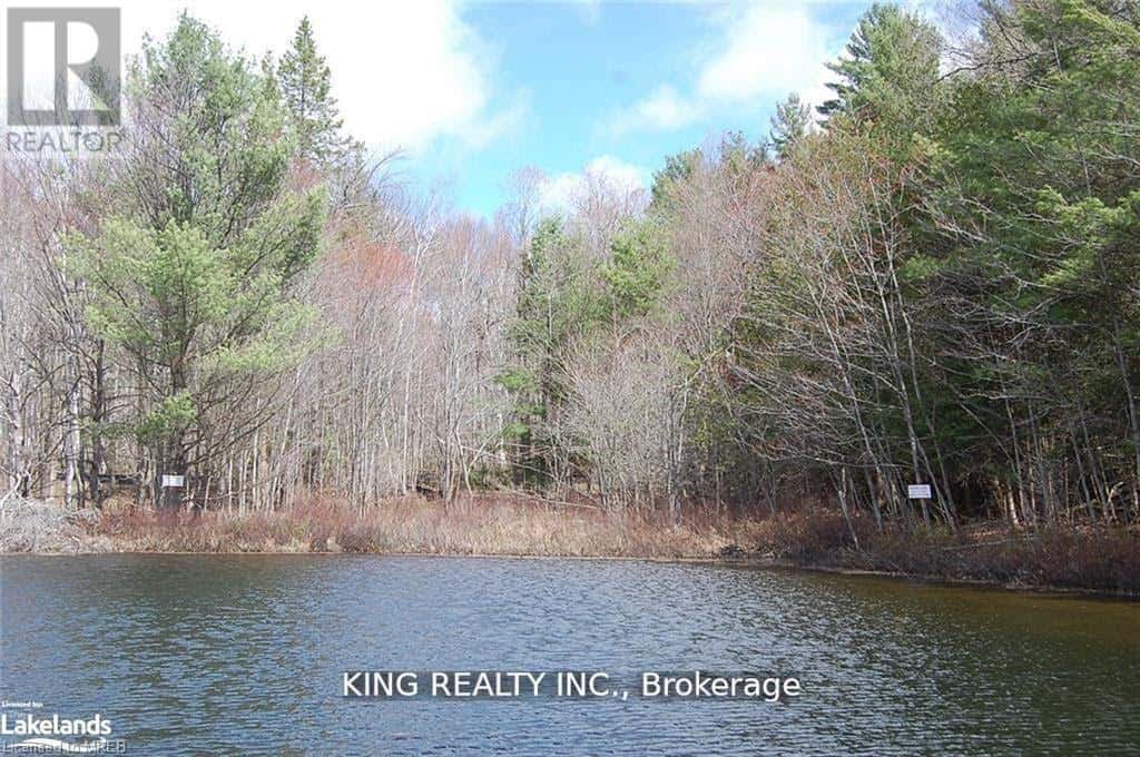 (LOT13) - 12 ZHAAWASHKWAA MIIKAN ROAD — Seguin, Ontario - Photo 5 of 12