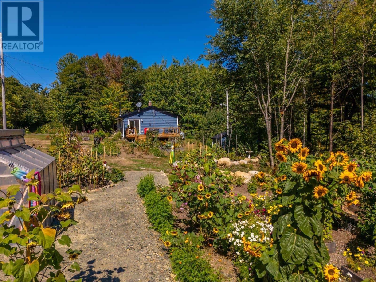 1136 Highway 8 — Maitland Bridge, Nova Scotia - Photo 4 of 38