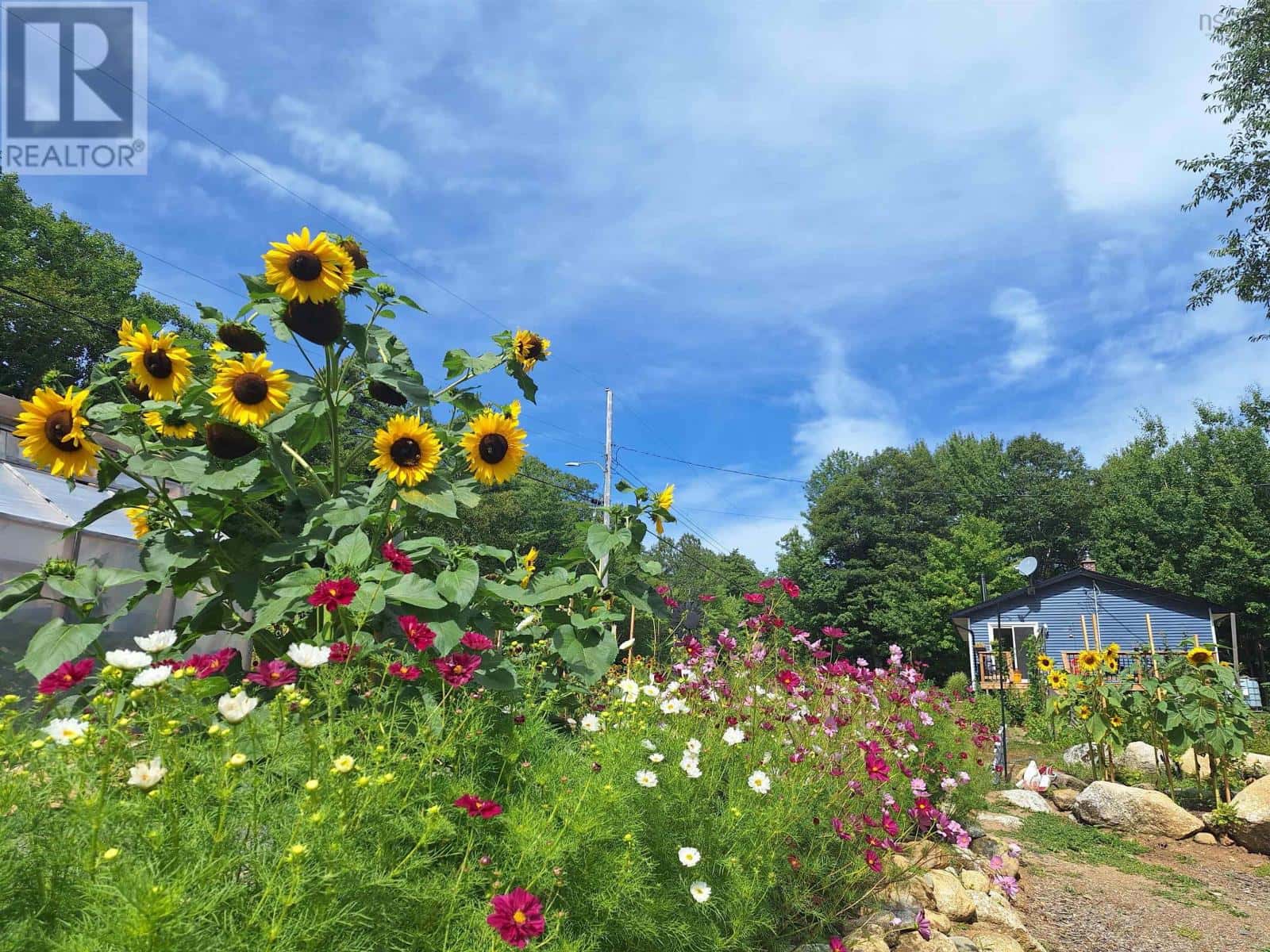 1136 Highway 8 — Maitland Bridge, Nova Scotia - Photo 2 of 38