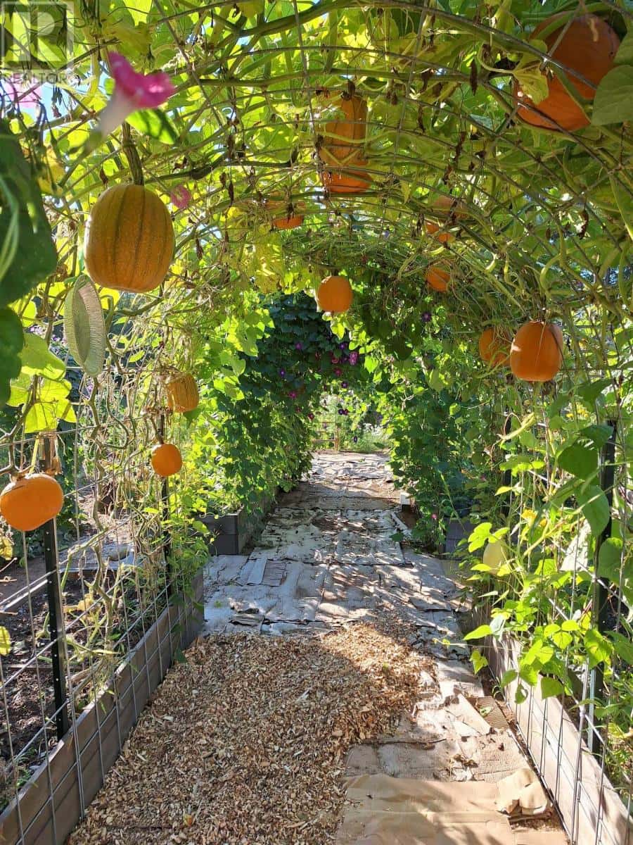 1136 Highway 8 — Maitland Bridge, Nova Scotia - Photo 3 of 38