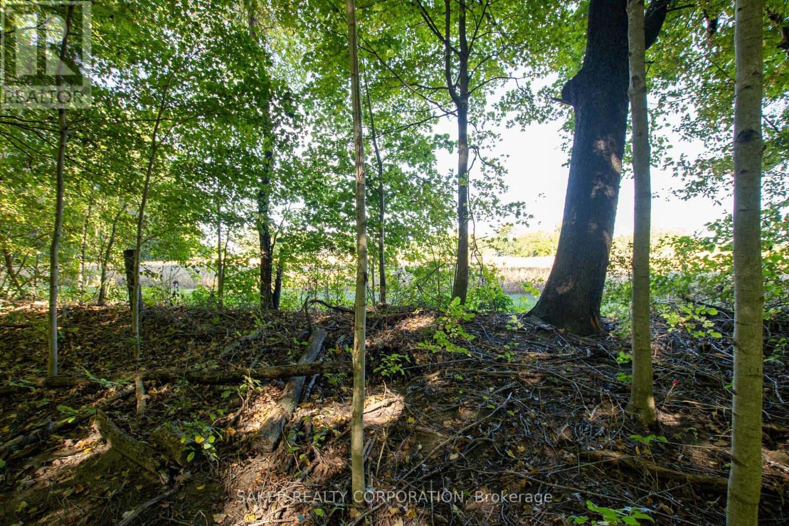 22560 TROOPS ROAD — Strathroy-Caradoc, Ontario - Photo 4 of 7