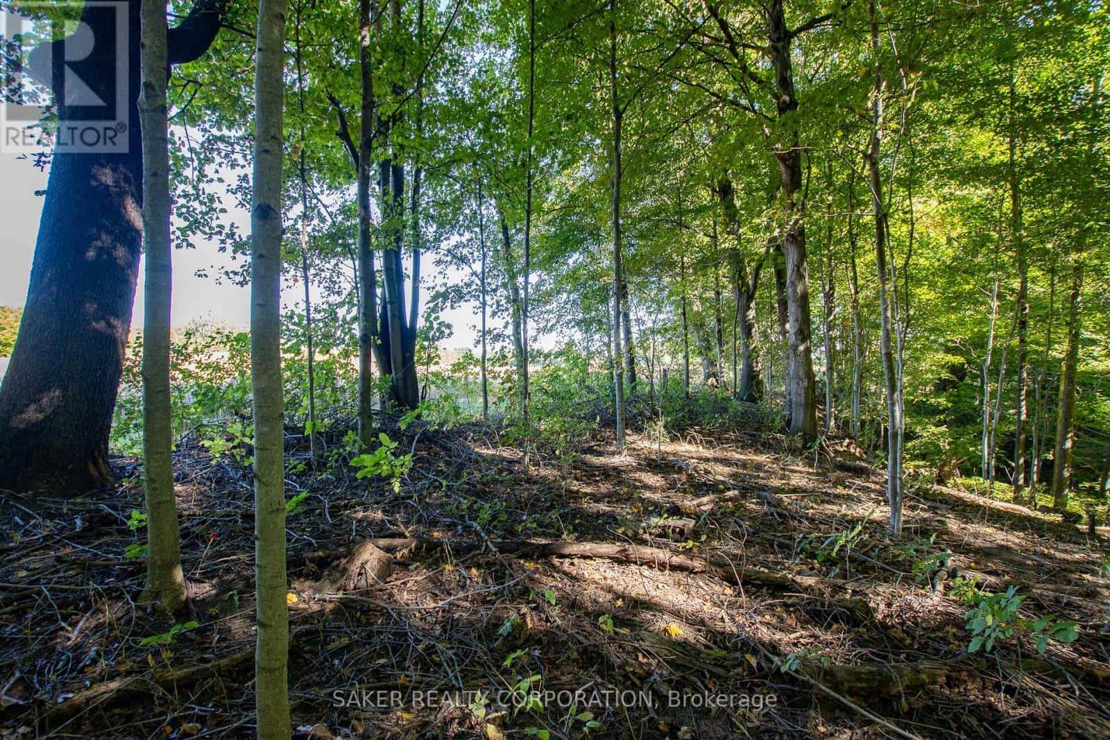 22560 TROOPS ROAD — Strathroy-Caradoc, Ontario - Photo 5 of 7