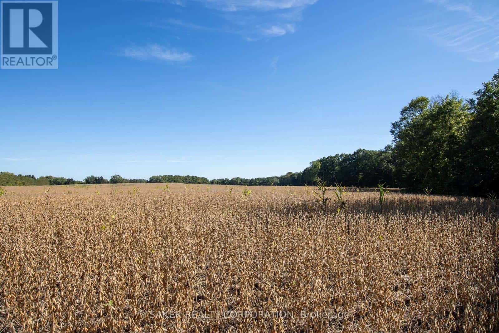 22580 TROOPS ROAD — Strathroy-Caradoc, Ontario - Photo 3 of 5