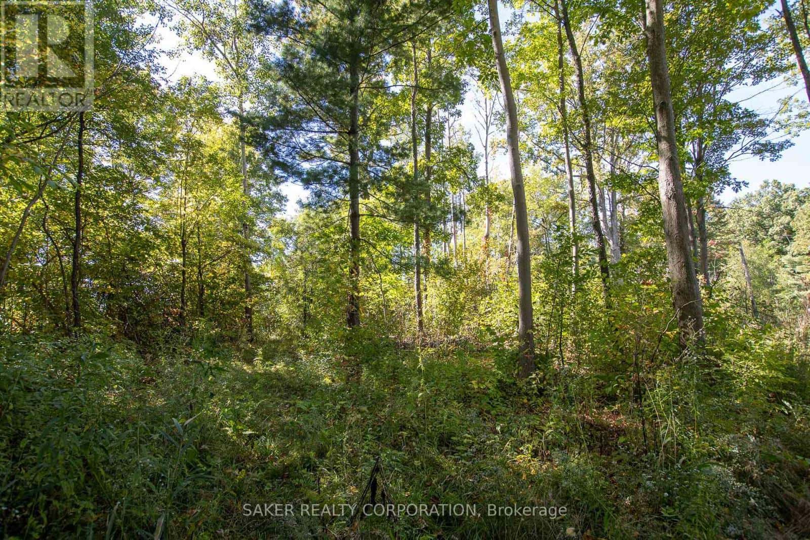 22480 TROOPS ROAD — Strathroy-Caradoc, Ontario - Photo 3 of 10