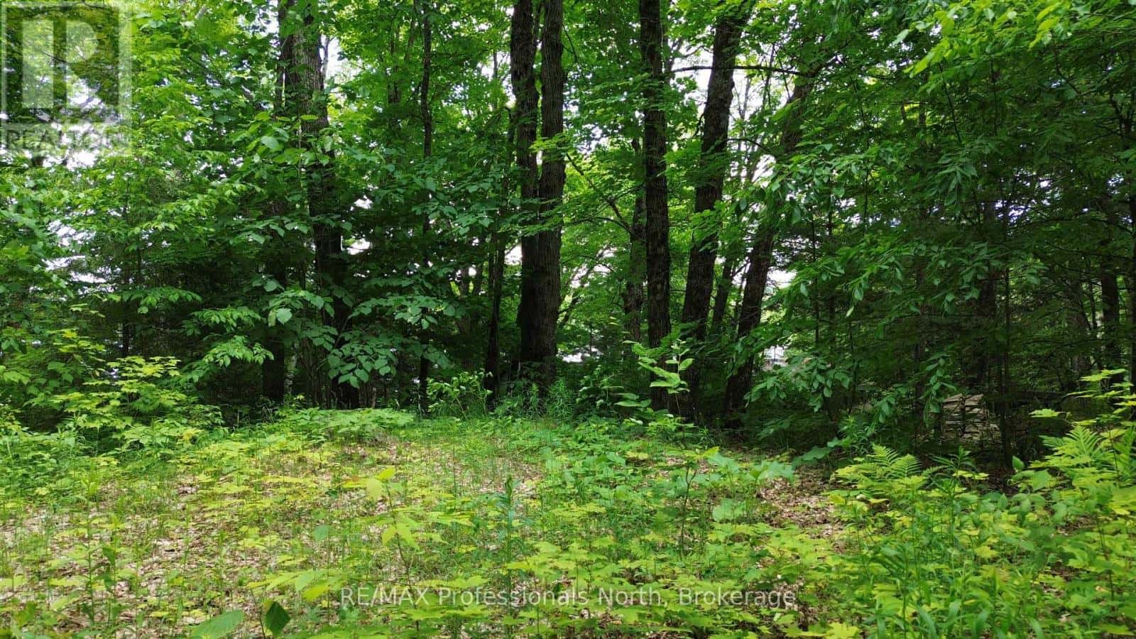 1012 BETULA CRESCENT — Dysart et al (Harcourt), Ontario - Photo 3 of 14