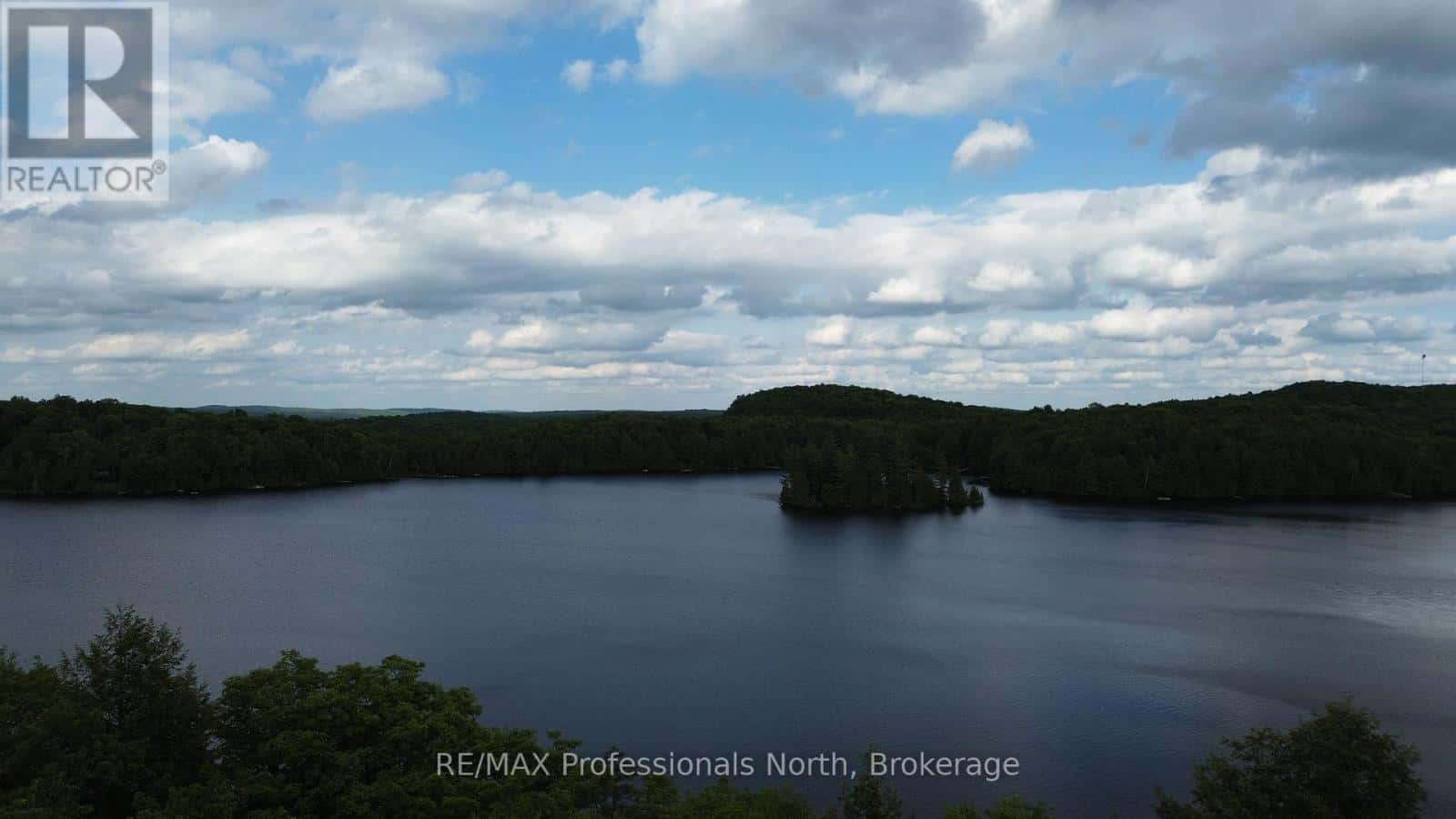 1012 BETULA CRESCENT — Dysart et al (Harcourt), Ontario - Photo 4 of 14