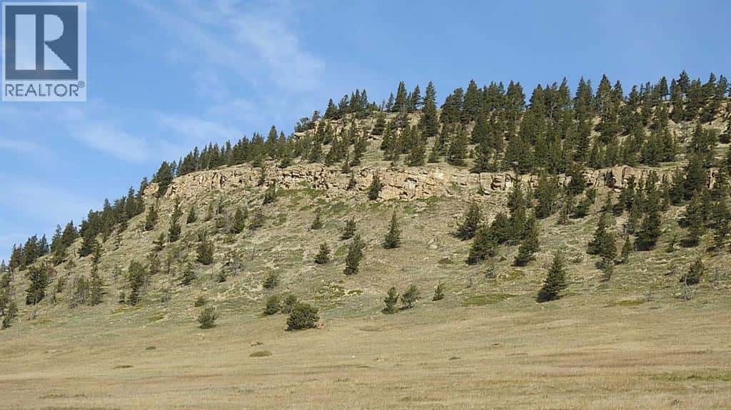 256 Acres Snake Trail — Rural Pincher Creek No. 9, M.D. of, Alberta - Photo 3 of 50