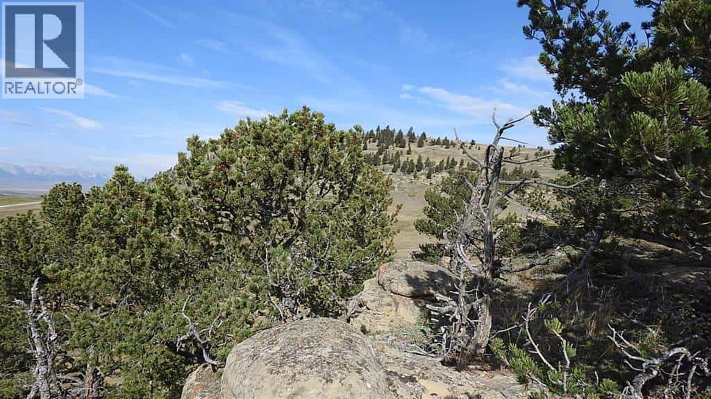 256 Acres Snake Trail — Rural Pincher Creek No. 9, M.D. of, Alberta - Photo 5 of 50