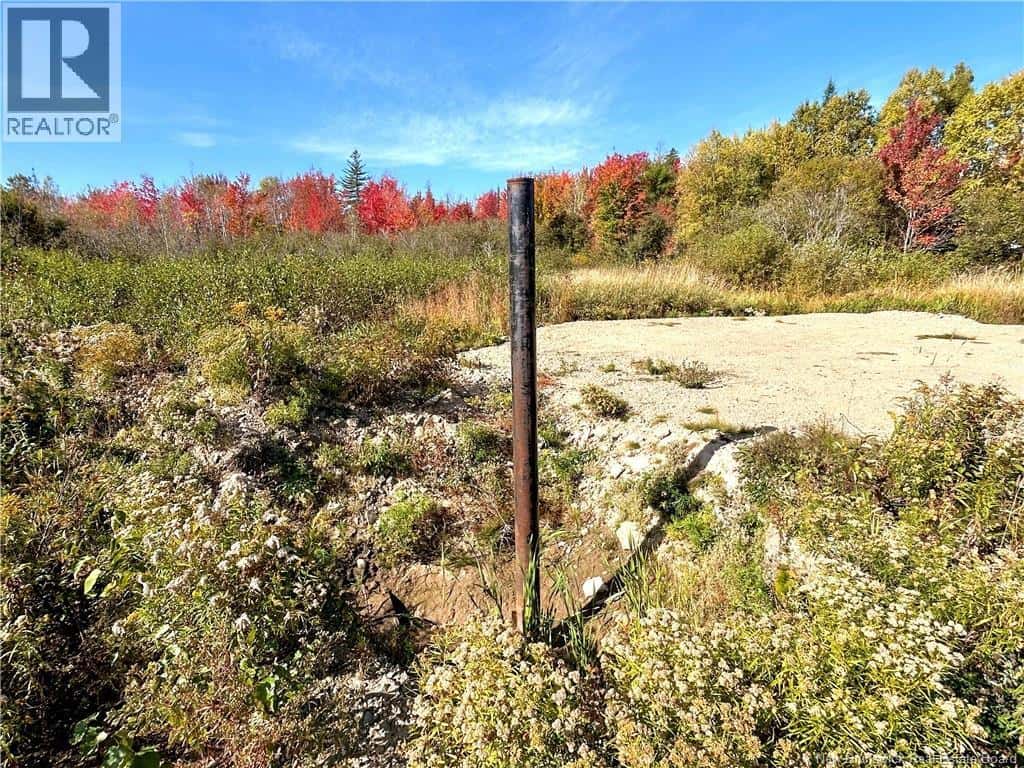 8249 Route 117 — Black River Bridge, New Brunswick - Photo 2 of 4