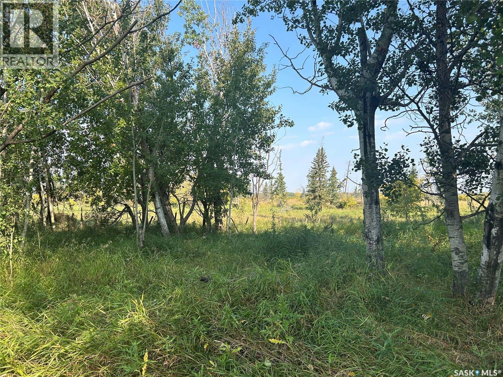 Weaver — Barrier Valley Rm No. 397, Saskatchewan - Photo 3 of 16