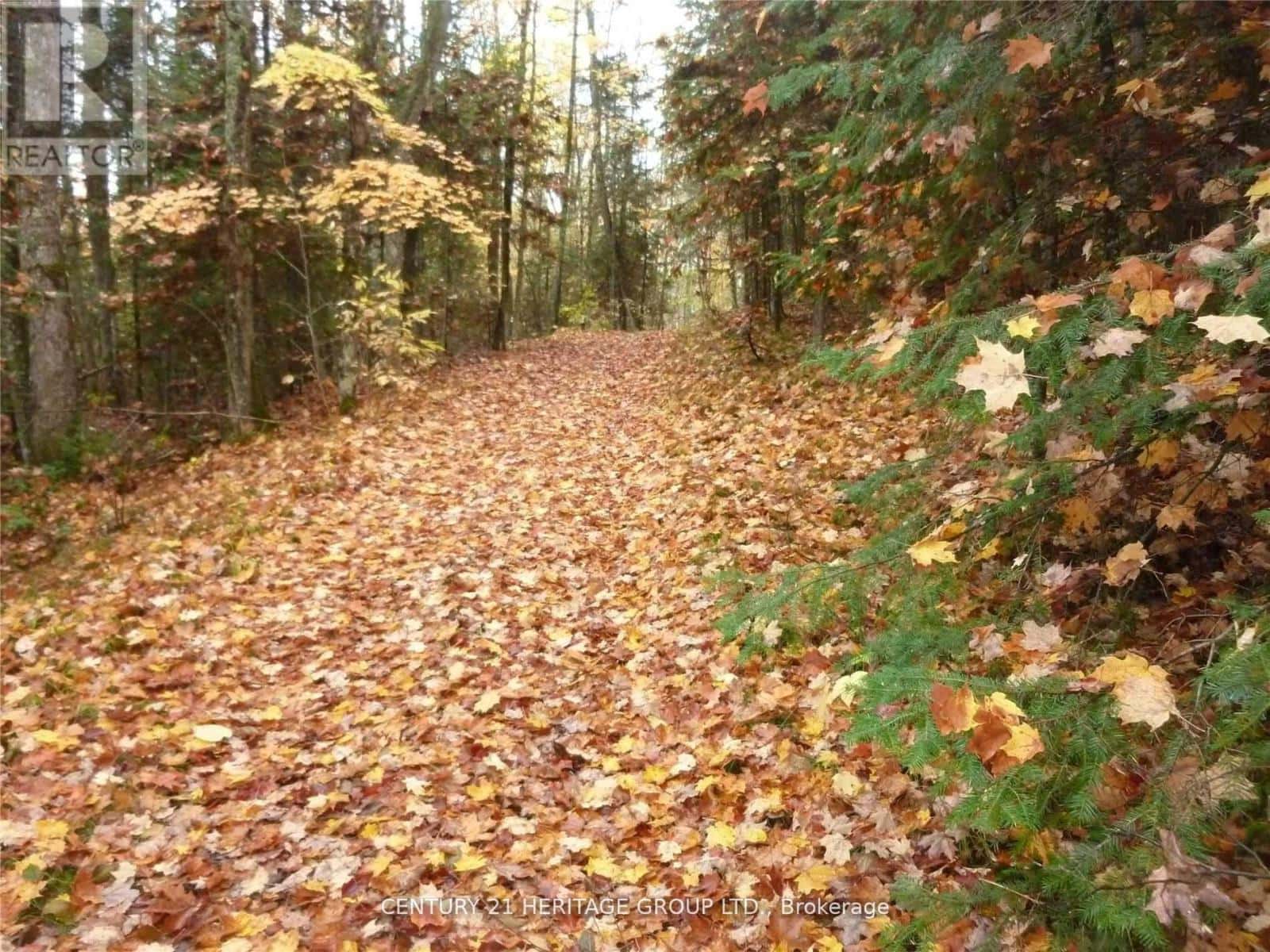 PT LT 8 CON7 HWY 503 — Highlands East (Monmouth), Ontario - Photo 2 of 6