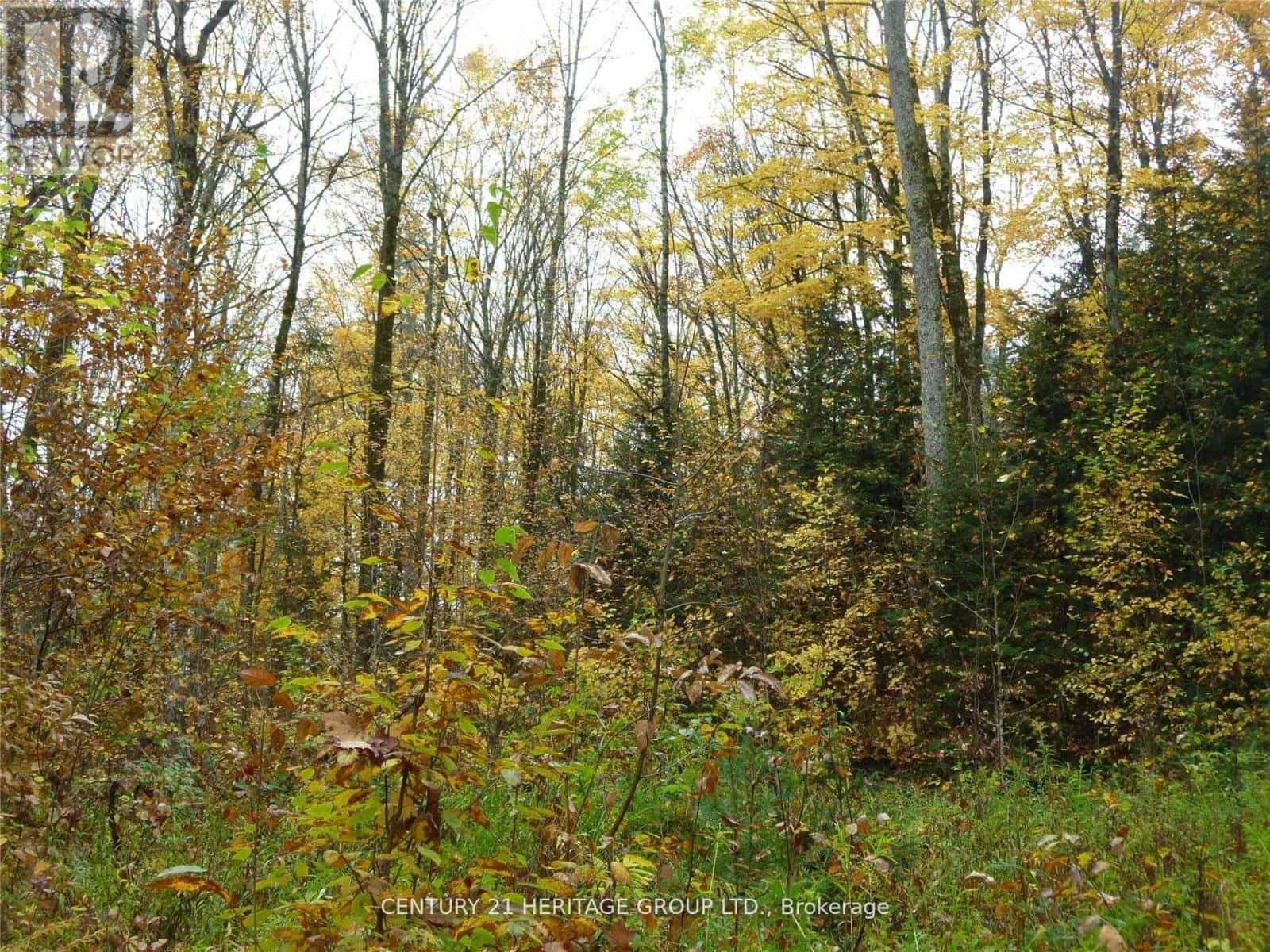 PT LT 8 CON7 HWY 503 — Highlands East (Monmouth), Ontario - Photo 3 of 6