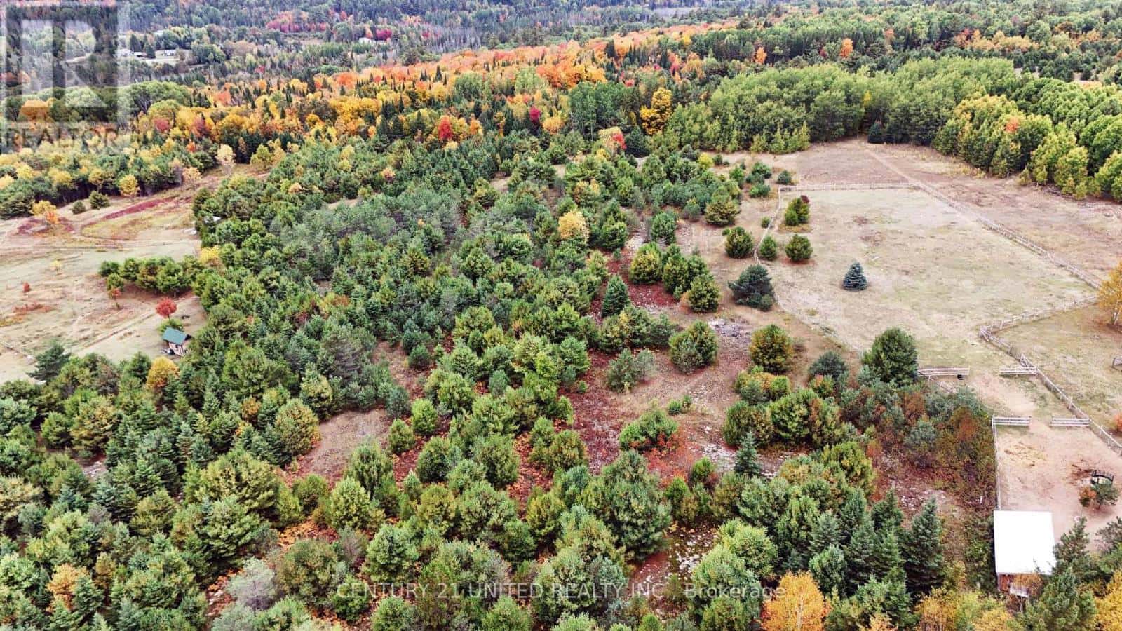 0 MCLEAN ROAD — Hastings Highlands (Monteagle Ward), Ontario - Photo 4 of 5