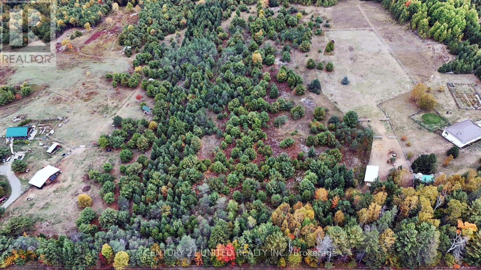 0 MCLEAN ROAD — Hastings Highlands (Monteagle Ward), Ontario - Photo 5 of 5