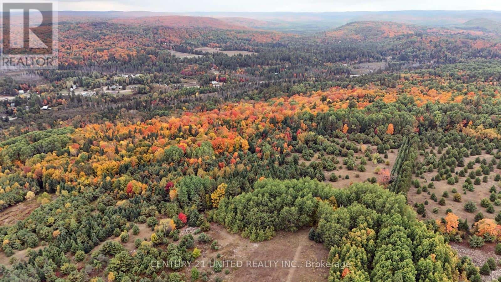 31 MCLEAN ROAD — Hastings Highlands (Monteagle Ward), Ontario - Photo 3 of 41