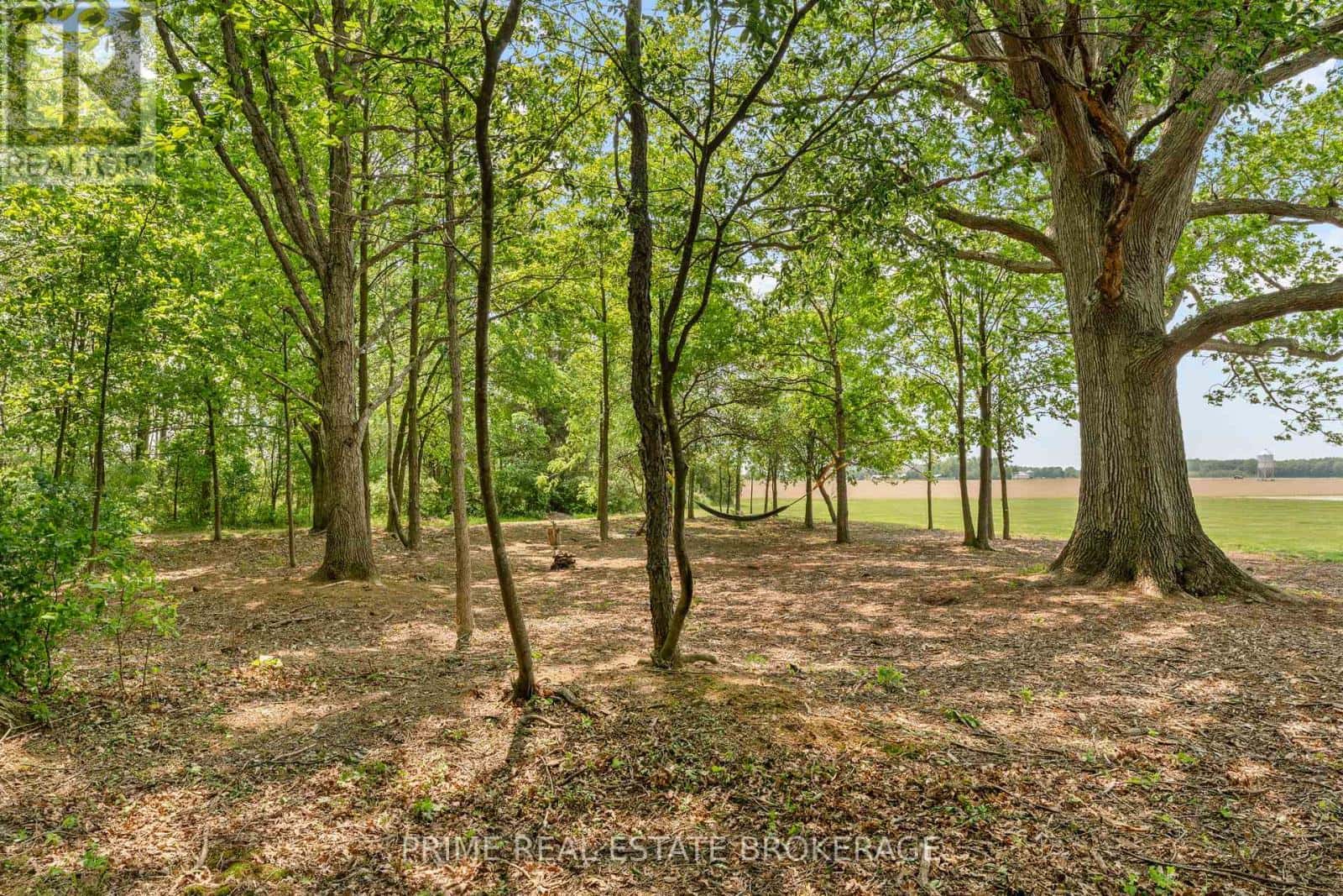 818 OIL HERITAGE ROAD — Chatham-Kent (Dresden), Ontario - Photo 3 of 34