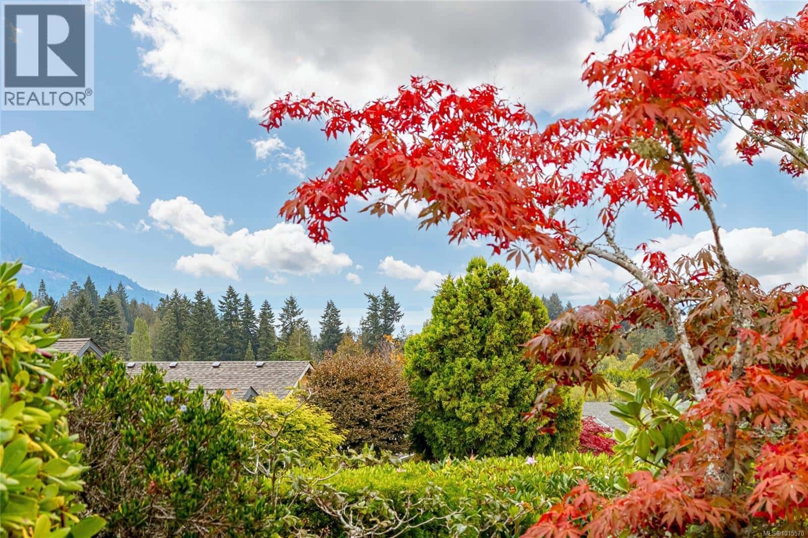 801 Country Club Dr — Cobble Hill, British Columbia - Photo 4 of 64