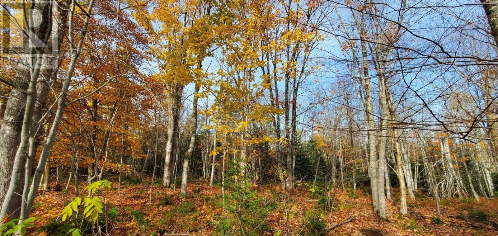 125 Cumberland Line Road — Fairview, Prince Edward Island - Main photo