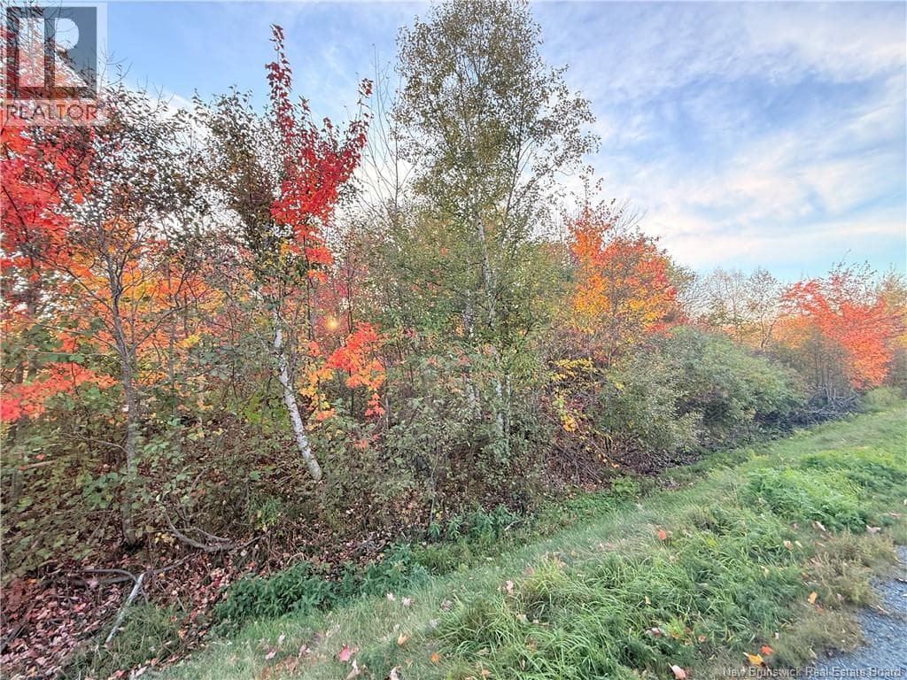 Lot Route 117 — Escuminac, New Brunswick - Main photo