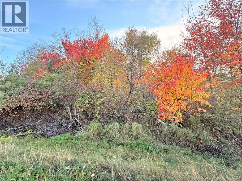 Lot Route 117 — Escuminac, New Brunswick - Photo 3 of 8