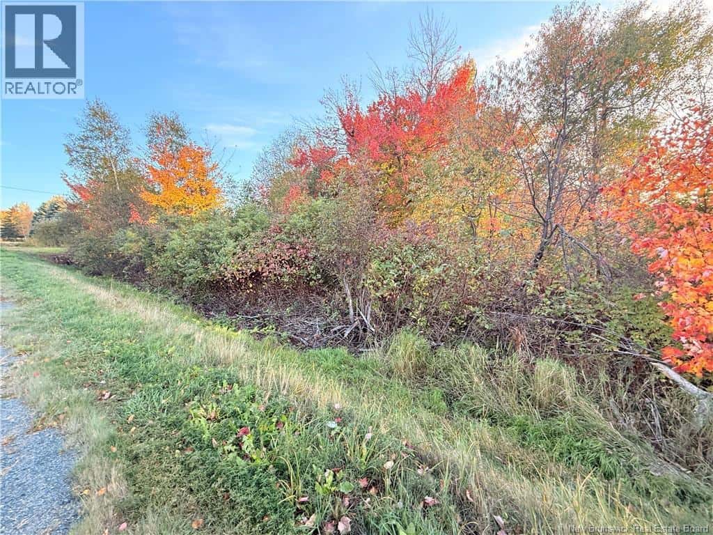 Lot Route 117 — Escuminac, New Brunswick - Photo 2 of 8