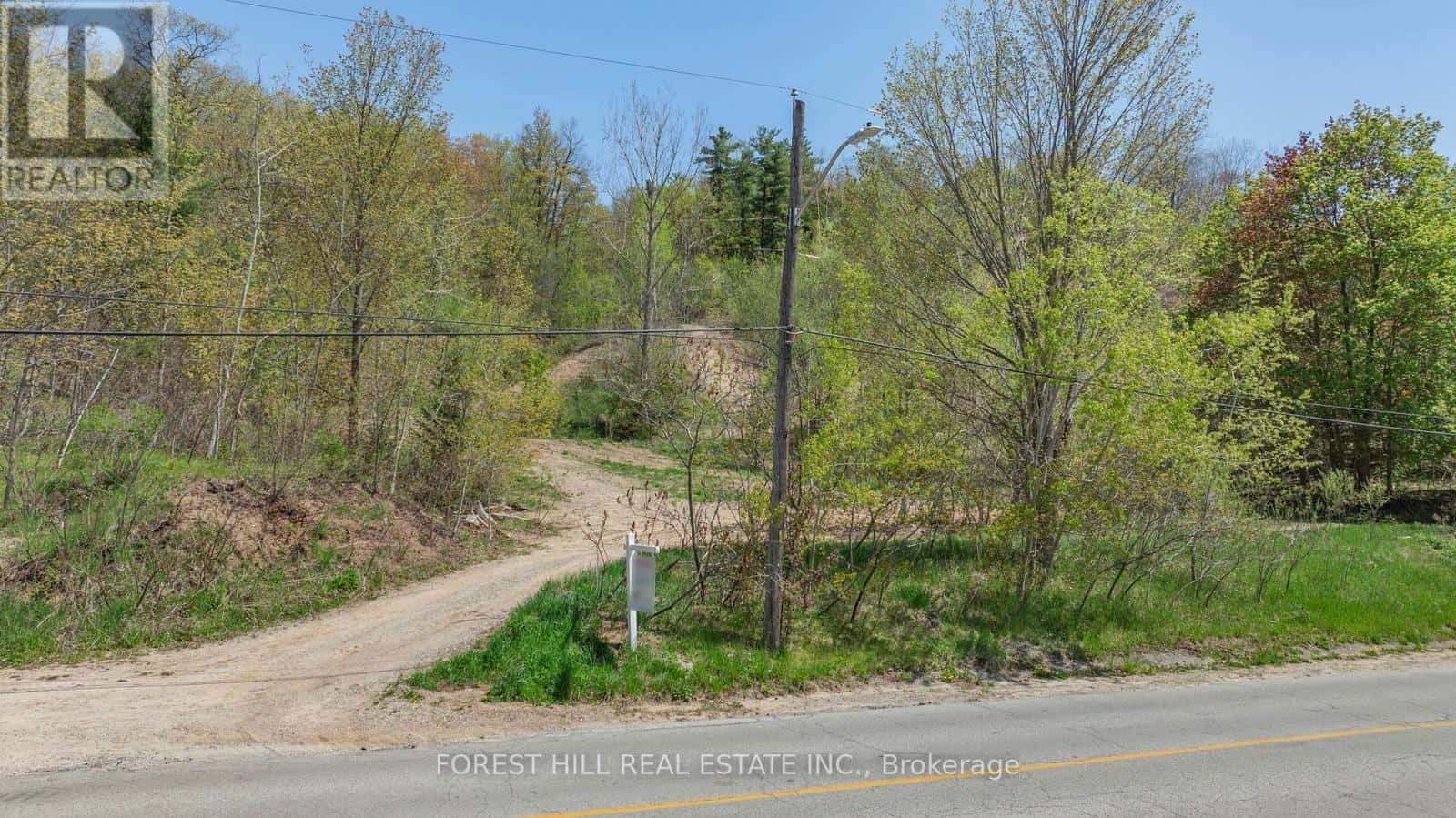 22 MAIN STREET N — Halton Hills (Glen Williams), Ontario - Photo 3 of 18