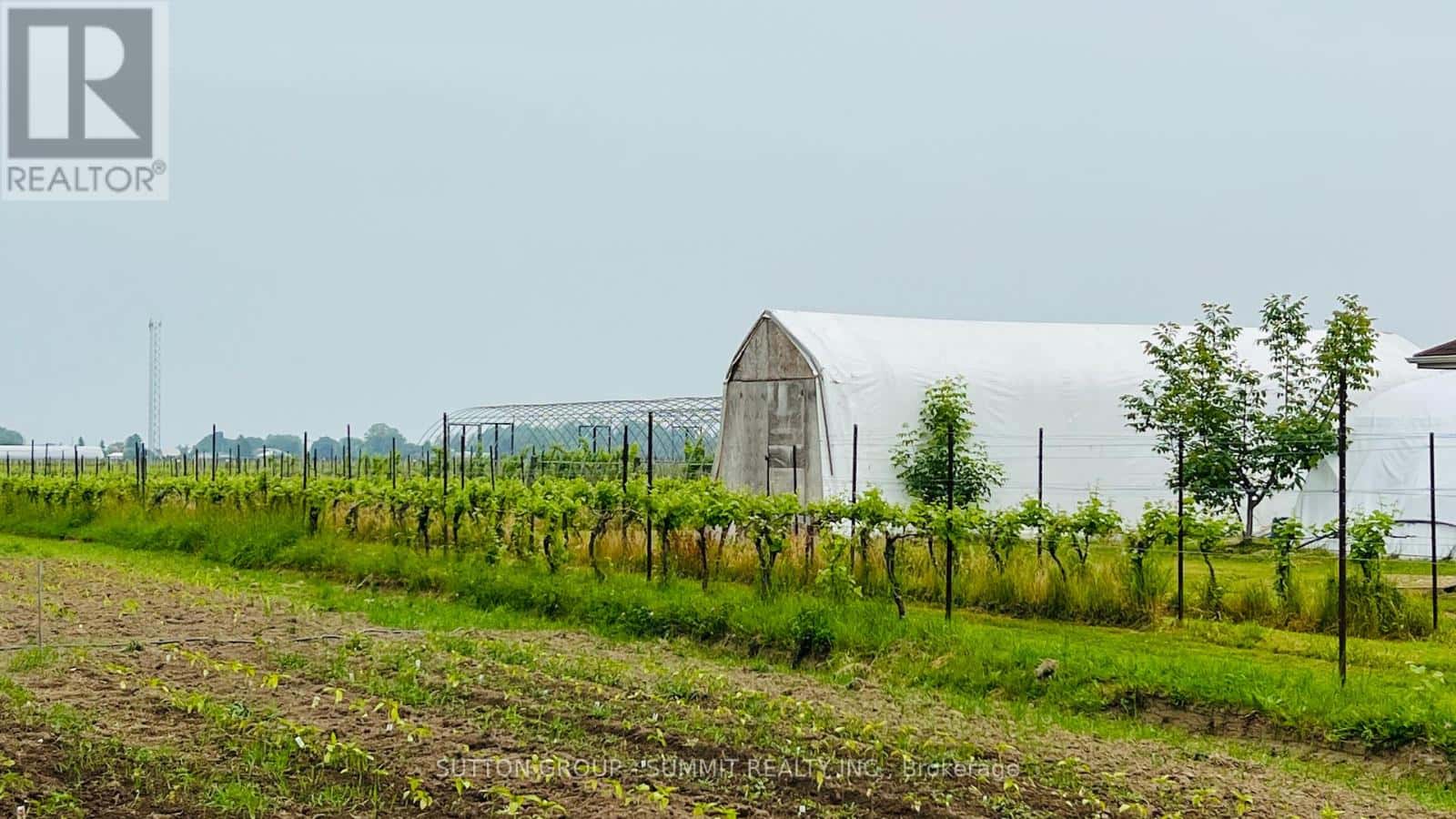 84 EAST WEST LINE — Niagara-on-the-Lake (Lakeshore), Ontario - Photo 4 of 40