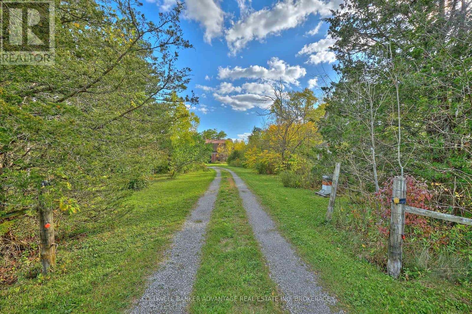 925 CARL ROAD — Welland (Cooks Mills), Ontario - Photo 3 of 25