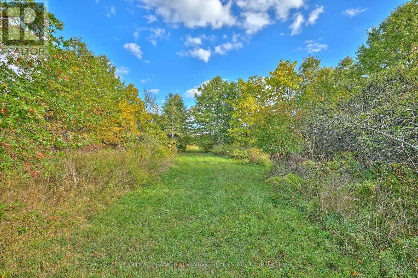 925 CARL ROAD — Welland (Cooks Mills), Ontario - Photo 5 of 25