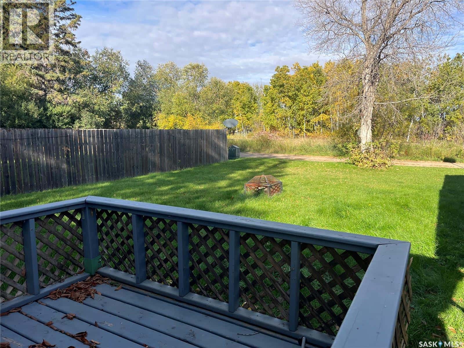 58 Horkoff AVENUE — Wadena, Saskatchewan - Photo 5 of 22