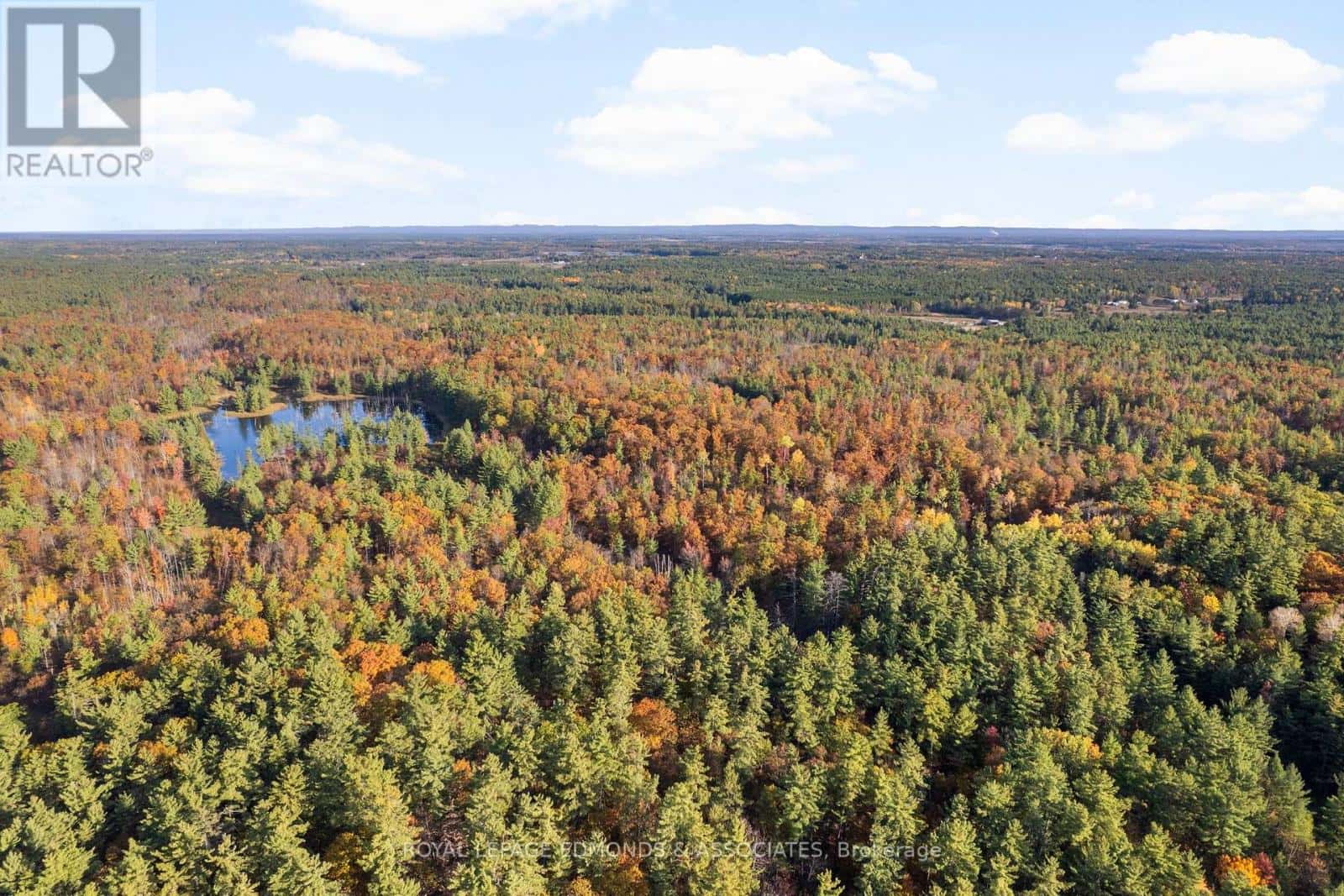 0 REICHE ROAD — North Algona Wilberforce, Ontario - Photo 2 of 36