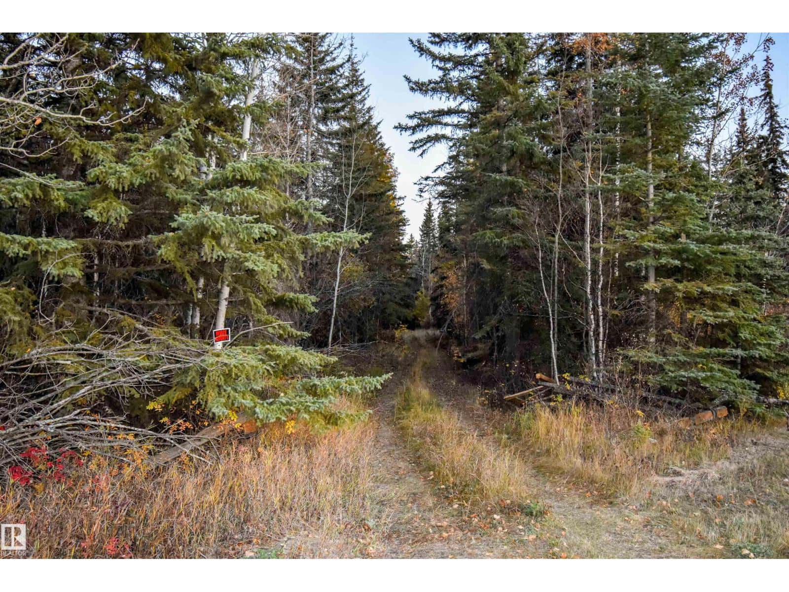 Twp Rd 625 and Hwy 63 — Rural Thorhild County, Alberta - Photo 2 of 16