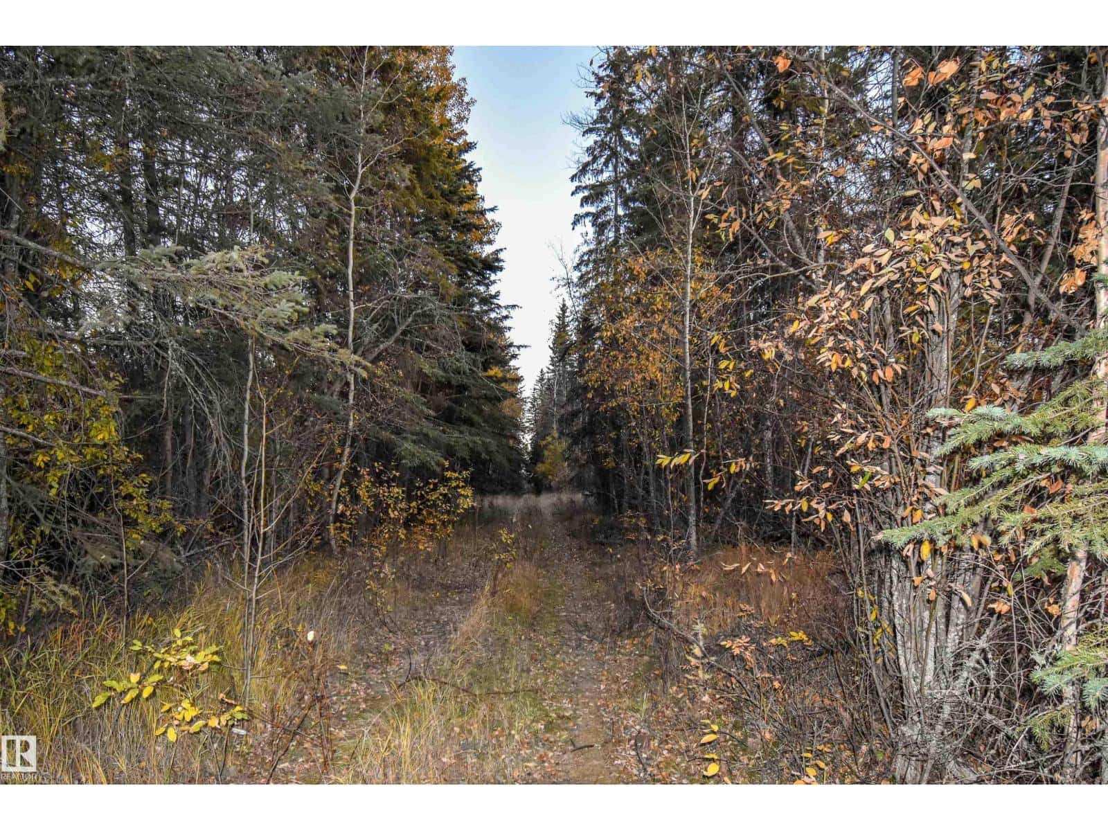 Twp Rd 625 and Hwy 63 — Rural Thorhild County, Alberta - Photo 3 of 16