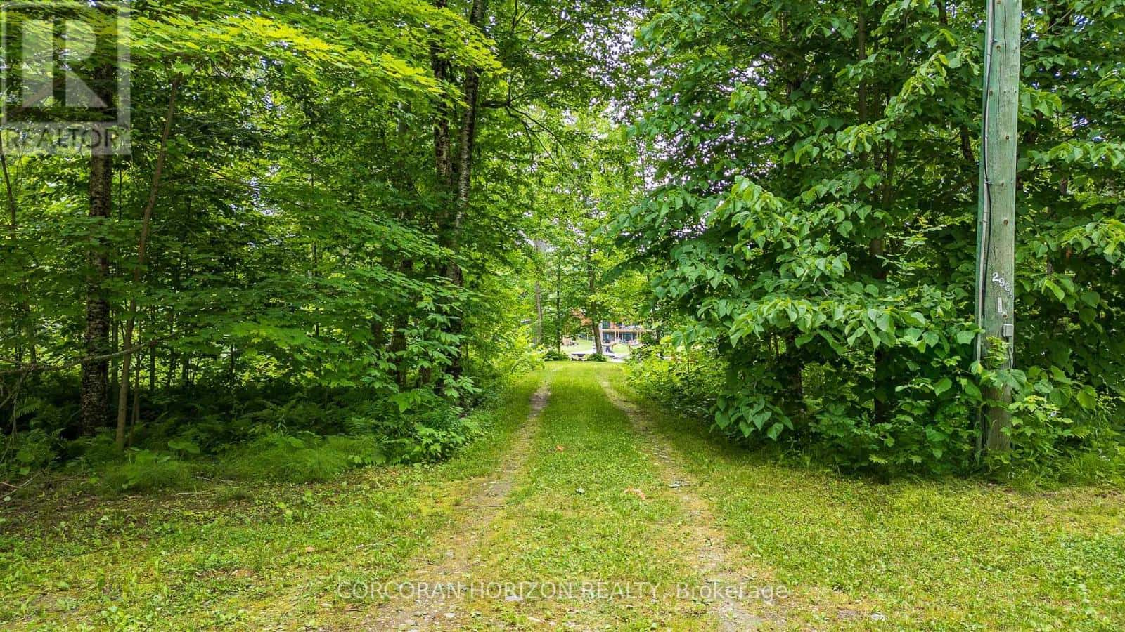 1068 HARTLEY ROAD — Gravenhurst (Morrison), Ontario - Photo 3 of 25