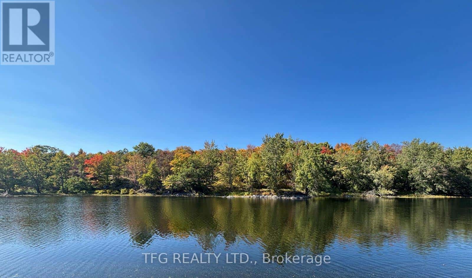 206I KEHOE LANE — Tweed (Elzevir (Twp)), Ontario - Photo 5 of 21