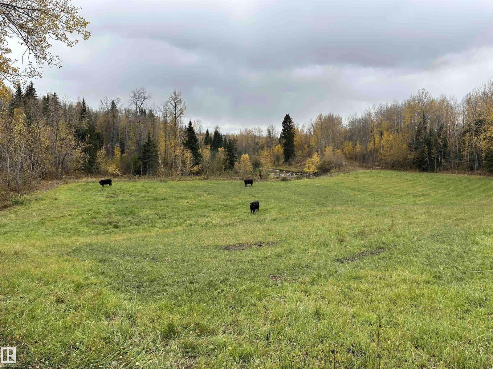 NW 18-49-5 W5M — Rural Brazeau County, Alberta - Photo 2 of 24