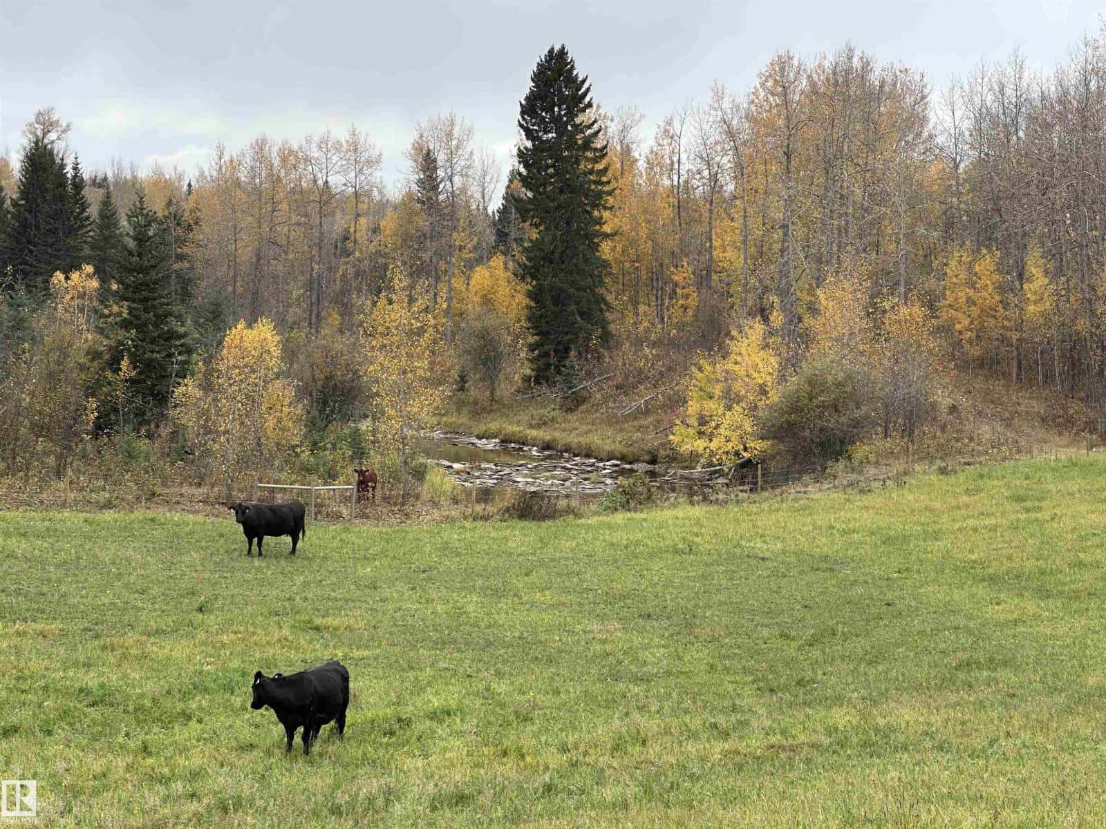 NW 18-49-5 W5M — Rural Brazeau County, Alberta - Photo 3 of 24