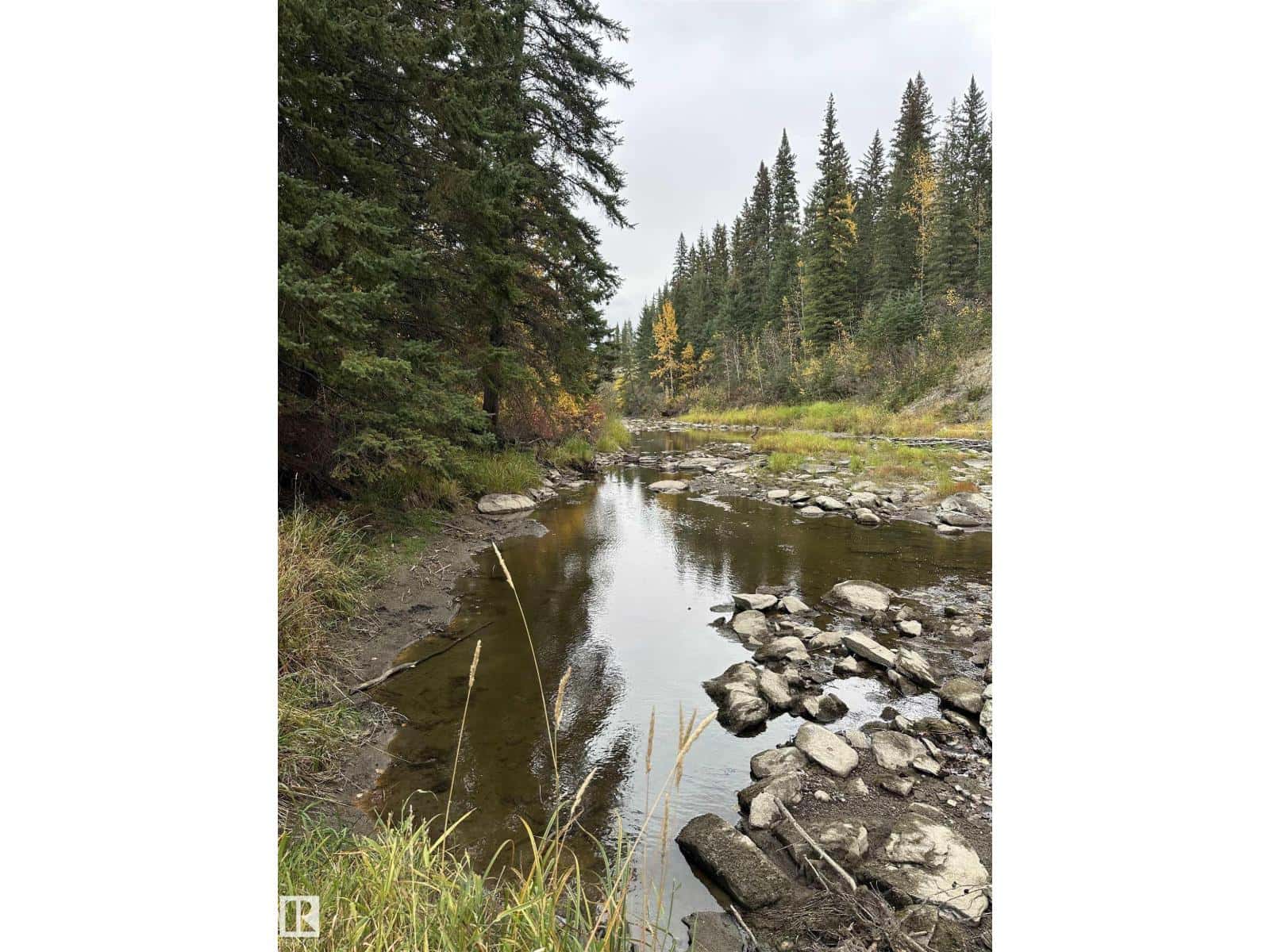 NW 18-49-5 W5M — Rural Brazeau County, Alberta - Photo 4 of 24