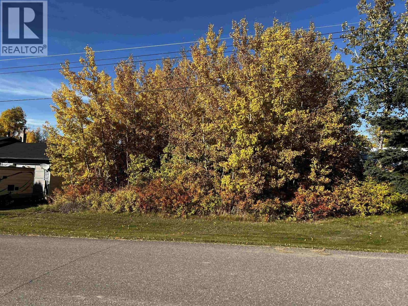 38 FRANCOIS DRIVE — Fraser Lake, British Columbia - Photo 5 of 12