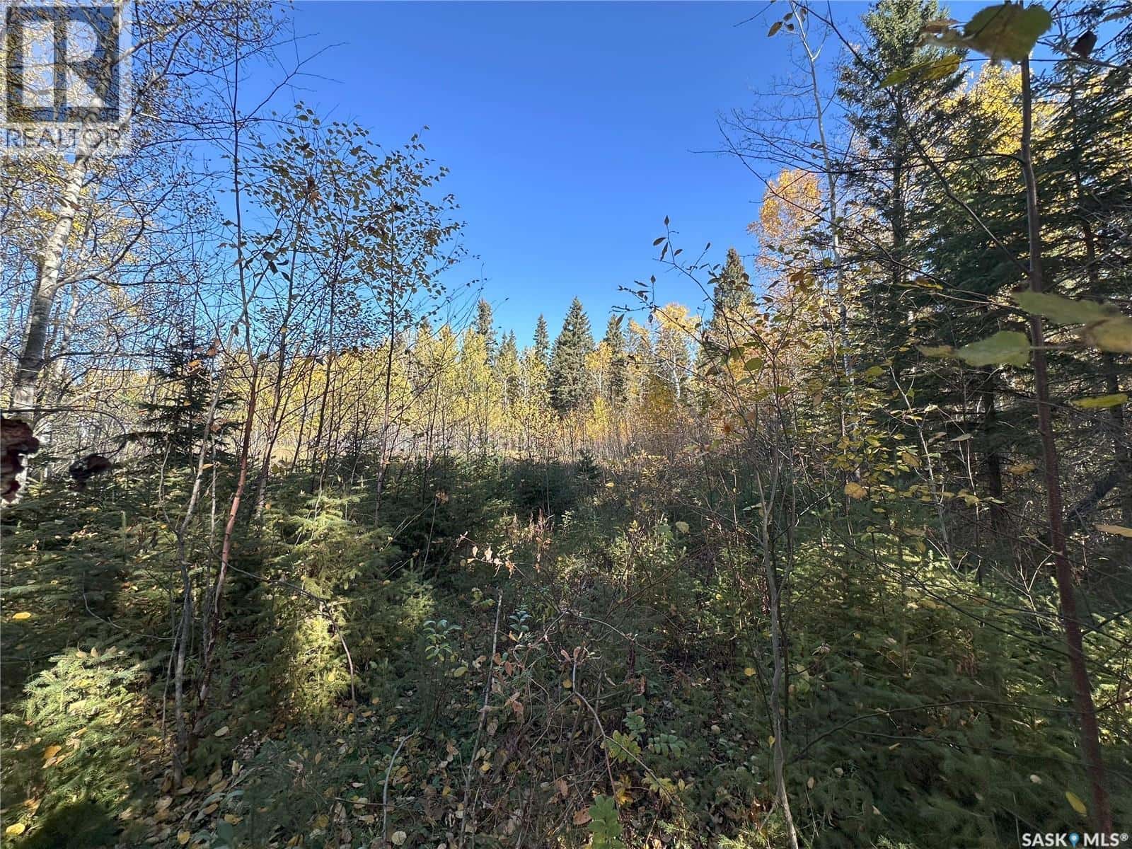 2 Buckingham Trail — Big River Rm No. 555, Saskatchewan - Photo 4 of 11