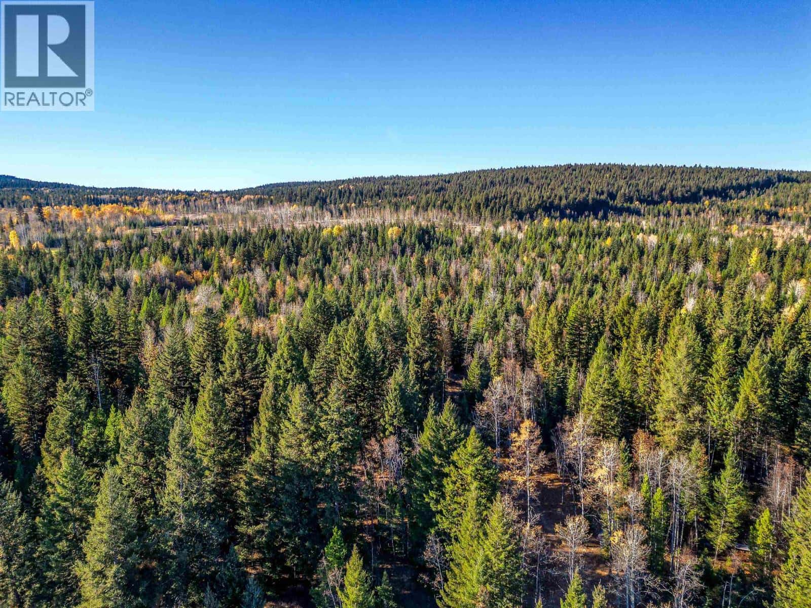 Lot 13 CANIM-HENDRIX LAKE ROAD — Forest Grove, British Columbia - Photo 5 of 19