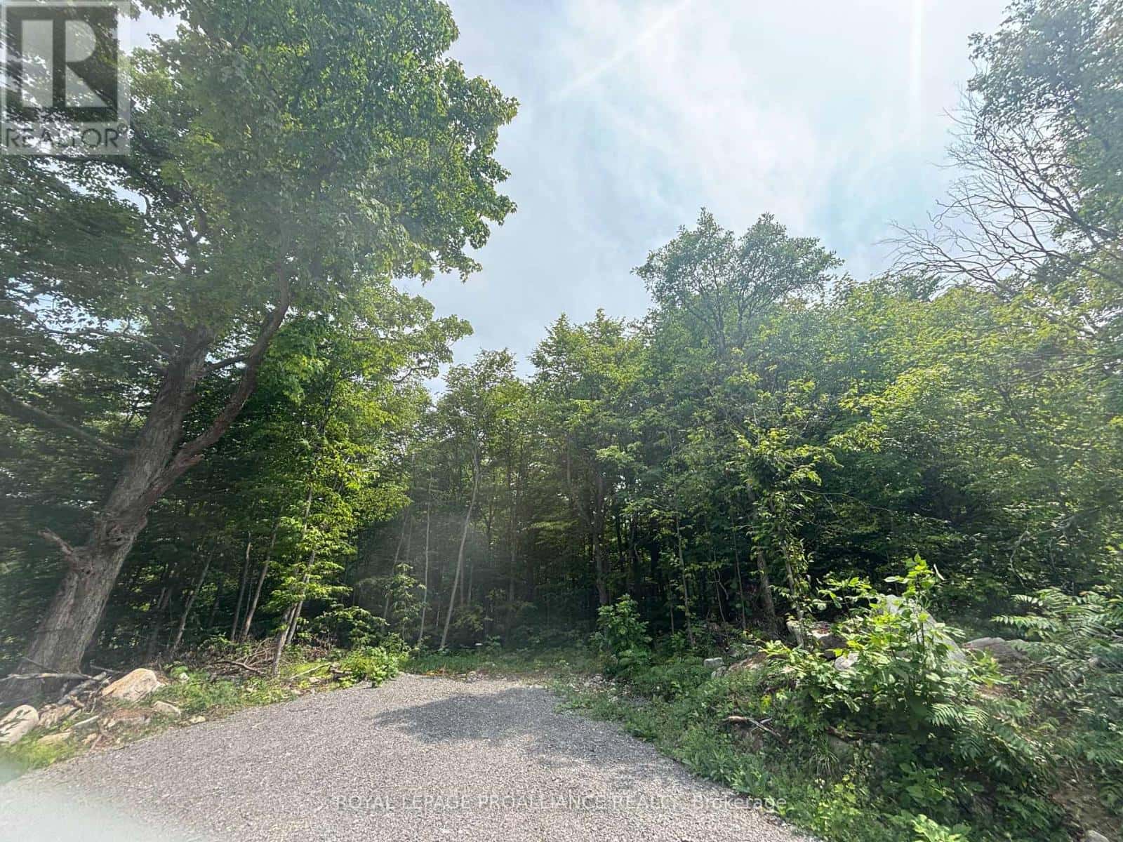 SEVERED B - 554 PIGDEN ROAD — Madoc, Ontario - Photo 2 of 7