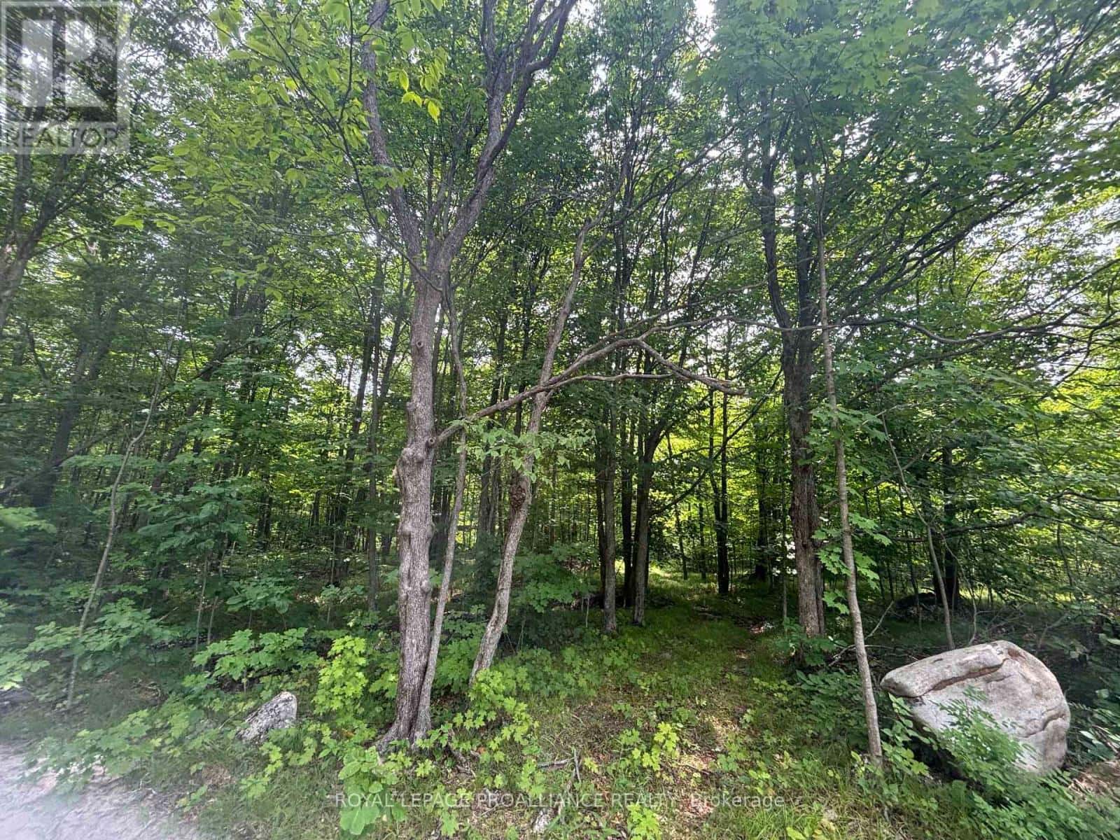 SEVERED B - 554 PIGDEN ROAD — Madoc, Ontario - Photo 3 of 7