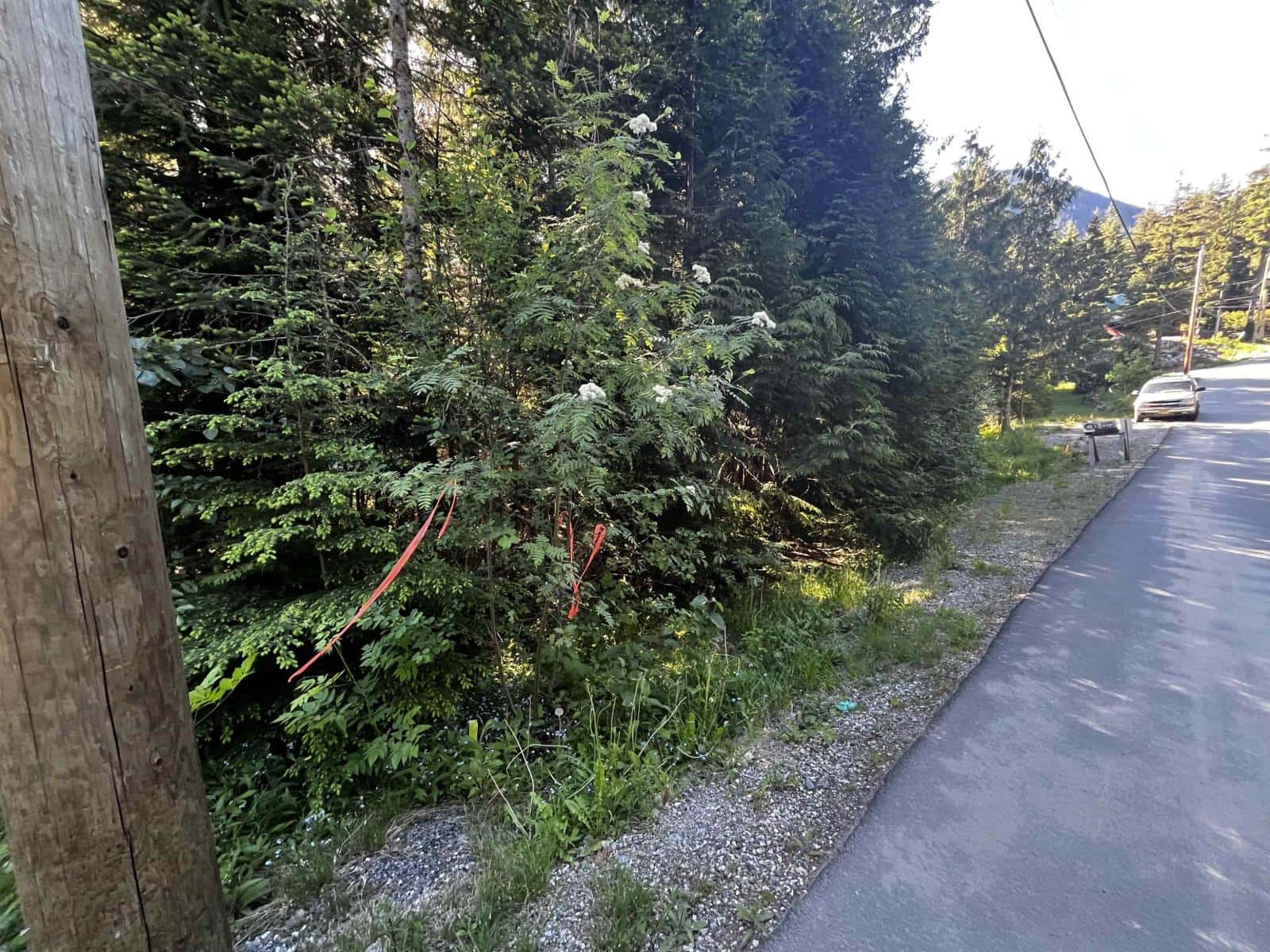 14902 PARKWOOD STREET, Sunshine Valley — Sunshine Valley, British Columbia - Photo 2 of 19