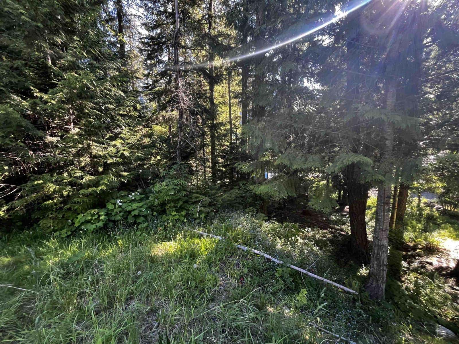 14902 PARKWOOD STREET, Sunshine Valley — Sunshine Valley, British Columbia - Photo 5 of 19