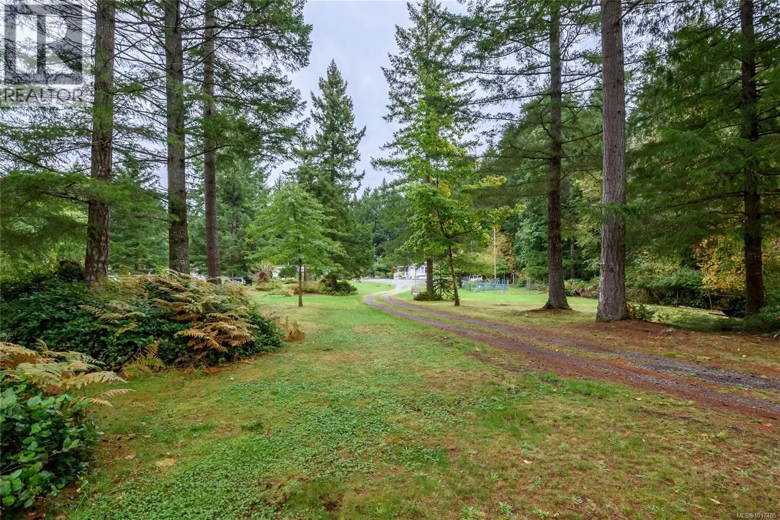 A/B 2826 Bruce Rd — Black Creek, British Columbia - Main photo