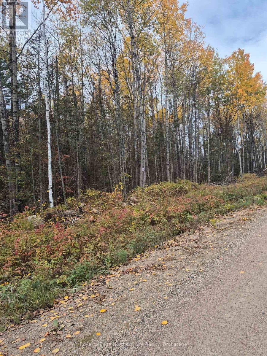 PT LOT 1 CON 9 ARCHAMBEAULT ROAD — Papineau-Cameron (Papineau Cameron), Ontario - Main photo