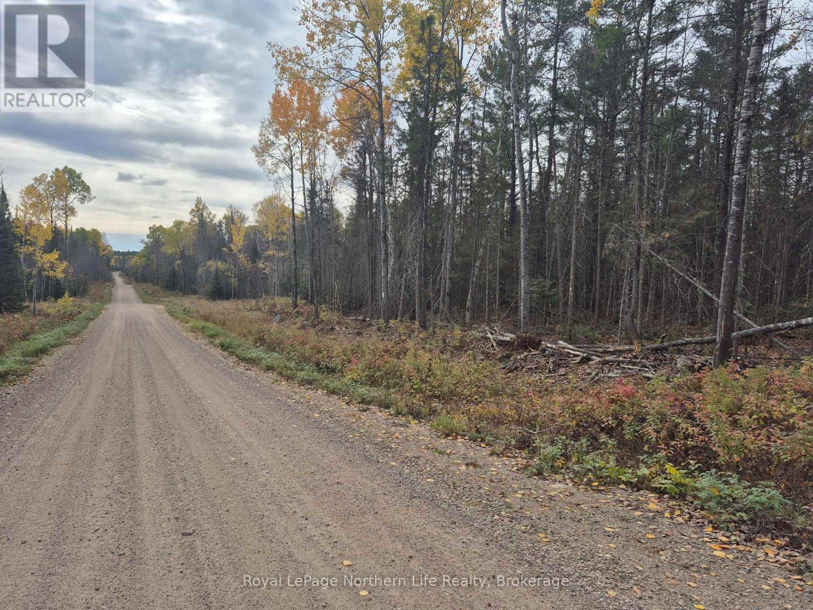 PT LOT 1 CON 9 ARCHAMBEAULT ROAD — Papineau-Cameron (Papineau Cameron), Ontario - Photo 4 of 5