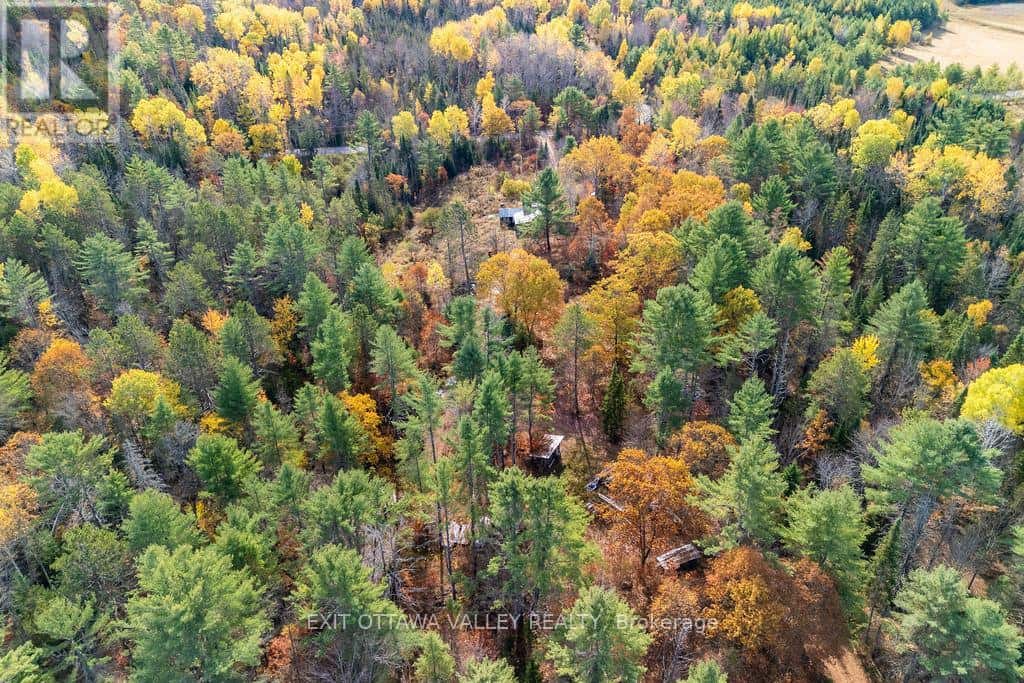 1794 TRAMORE ROAD — Killaloe, Hagarty and Richards, Ontario - Photo 4 of 28